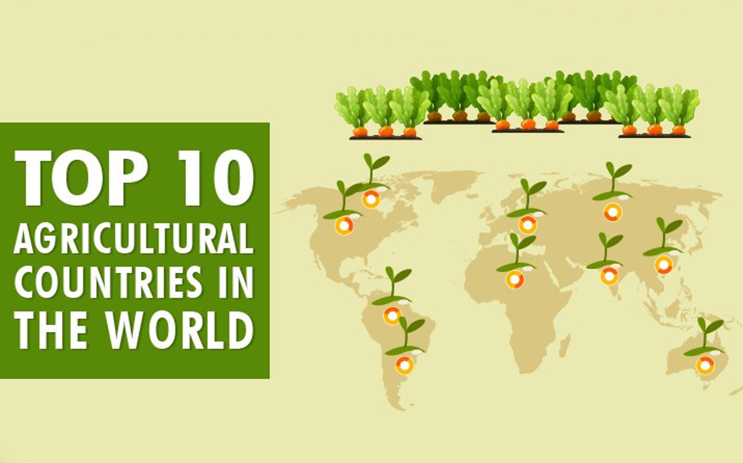 Top 10 Agricultural Producing Countries in The World